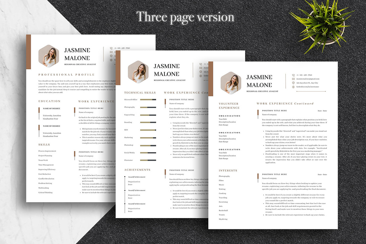 Modern Business CV Template | Canva, a Resume Template by Lux Resume (Photo 3 of 9)
