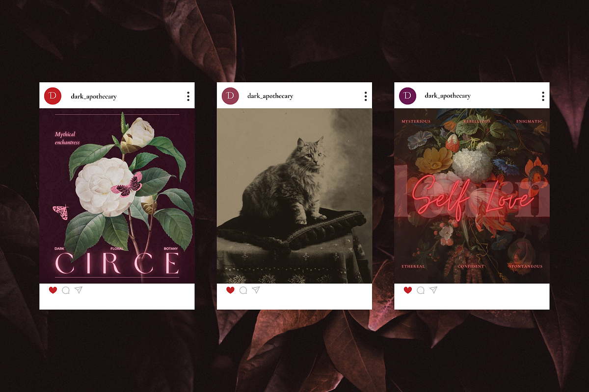 Dark Apothecary Social Media Bundle, a Social Media Template by The Flossy Finch (Photo 13 of 17)