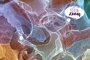 Microcosm: 25 seamless patterns, a Pattern Graphic by Shusha Guna Art (Thumbnail 8 of 10)