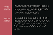Meaty Nineties - Modern Retro, a Serif Font by Holyline Design (Thumbnail 13 of 15)