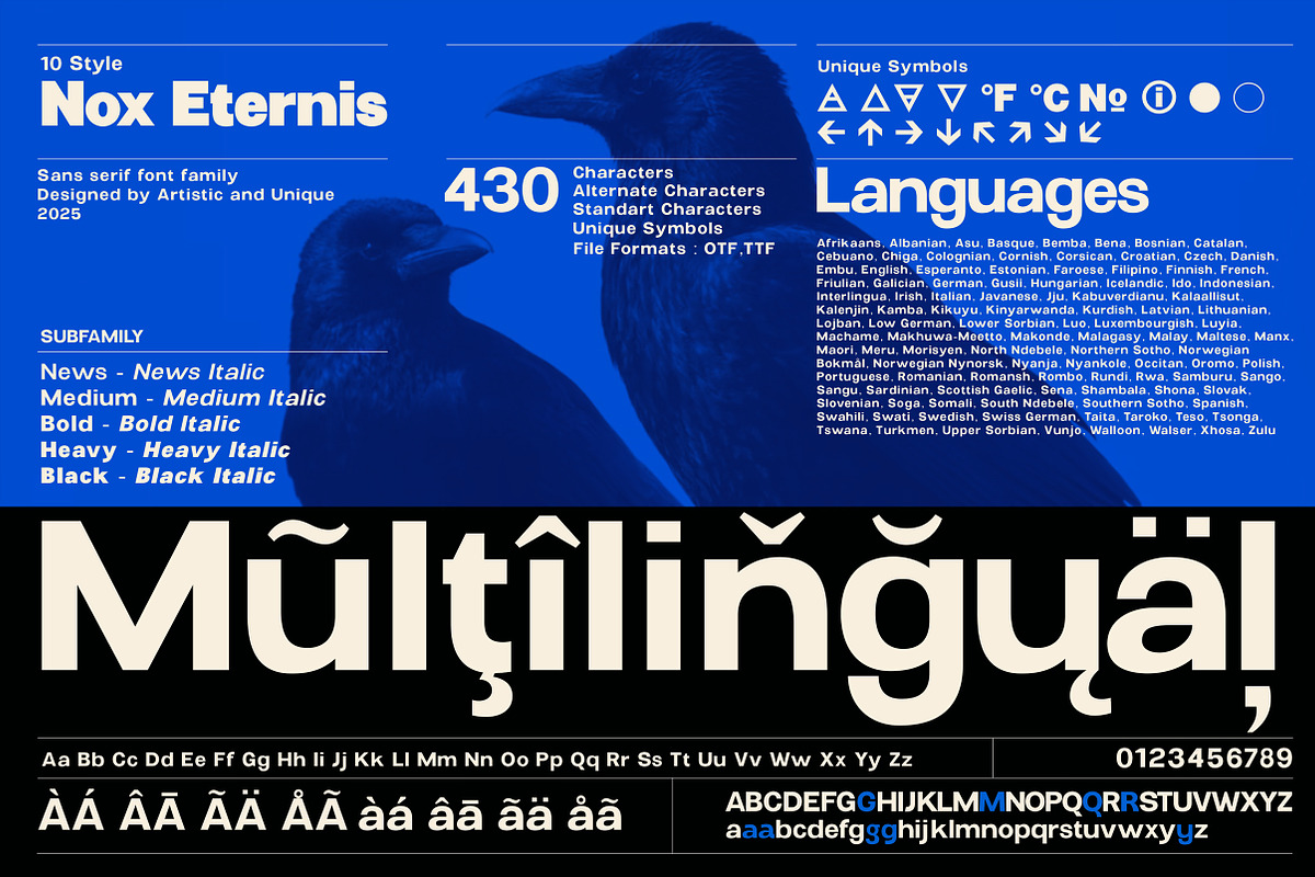 Nox Eternis - Sans serif font family, a Sans Serif Font by Artistic & Unique (Photo 3 of 15)