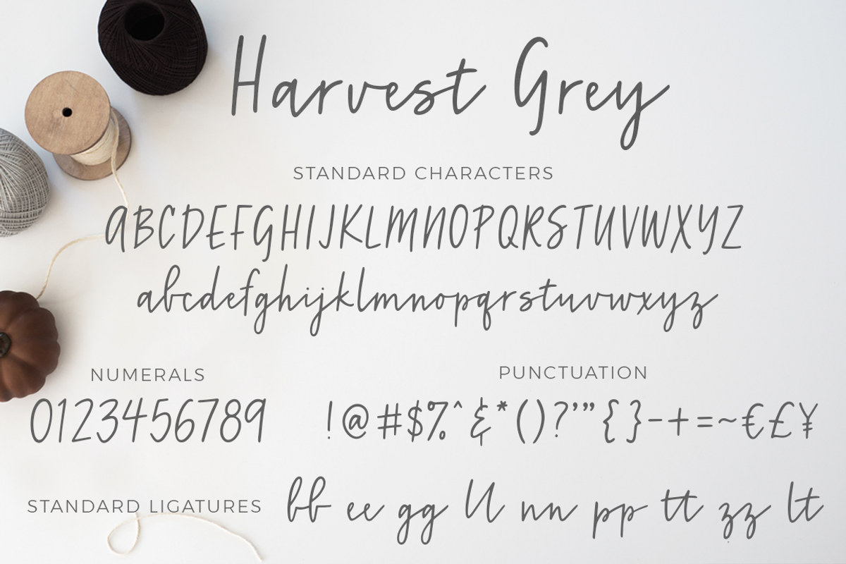Harvest Grey, a Script Font by Lone Star Lettering (Photo 9 of 10)