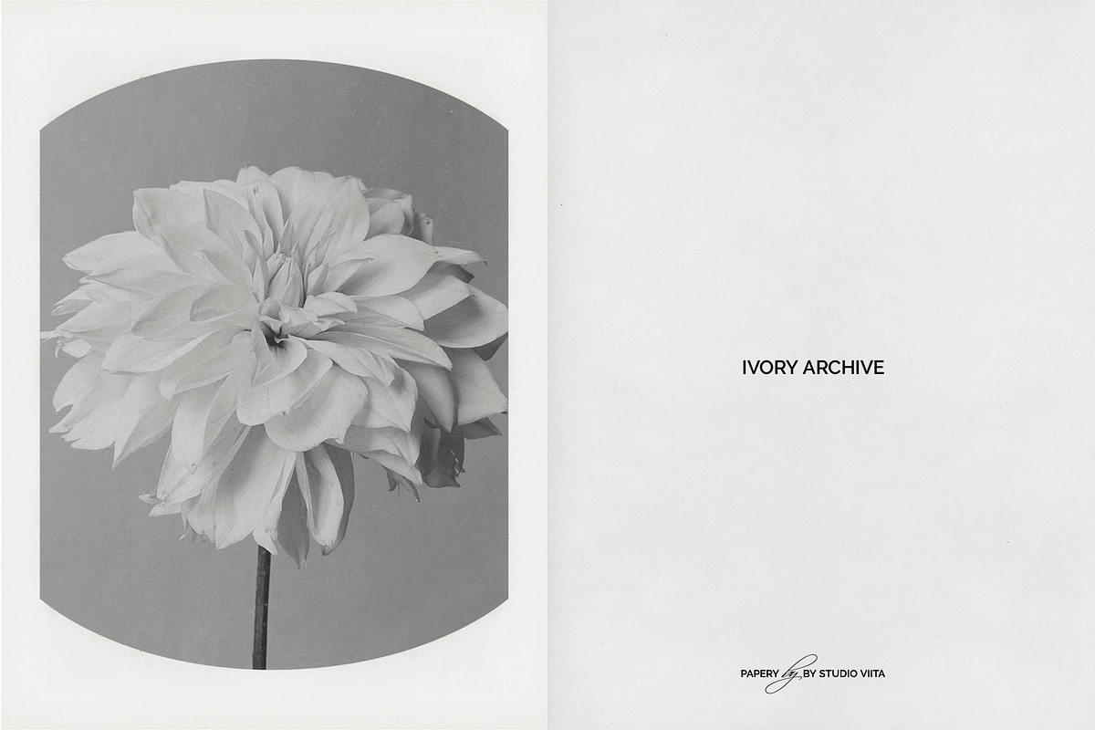 Vintage Scan Borders And Textures⸻3, a Texture Graphic by Studio Viita (Photo 6 of 11)