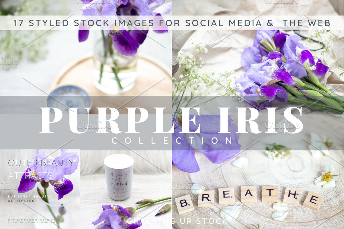 Purple Iris Styled Stock Collection, a Photo by Chalking Up Stock (Photo 1 of 19)