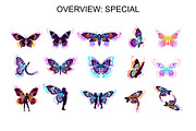 Wings & Butterfly(SVG, PNG Brushes), a Brush Add-On by xresch (Thumbnail 20 of 22)