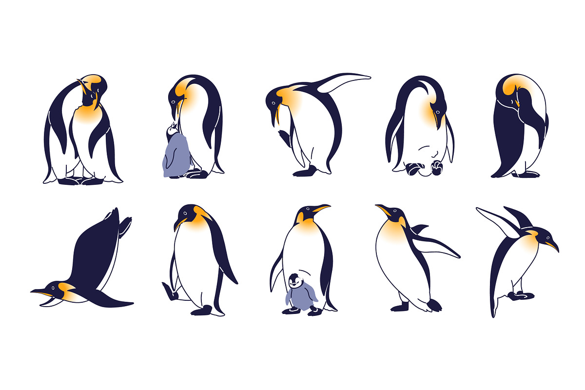 King penguins set + seamless pattern, an Animal Illustration by PaperTrident (Photo 1 of 4)