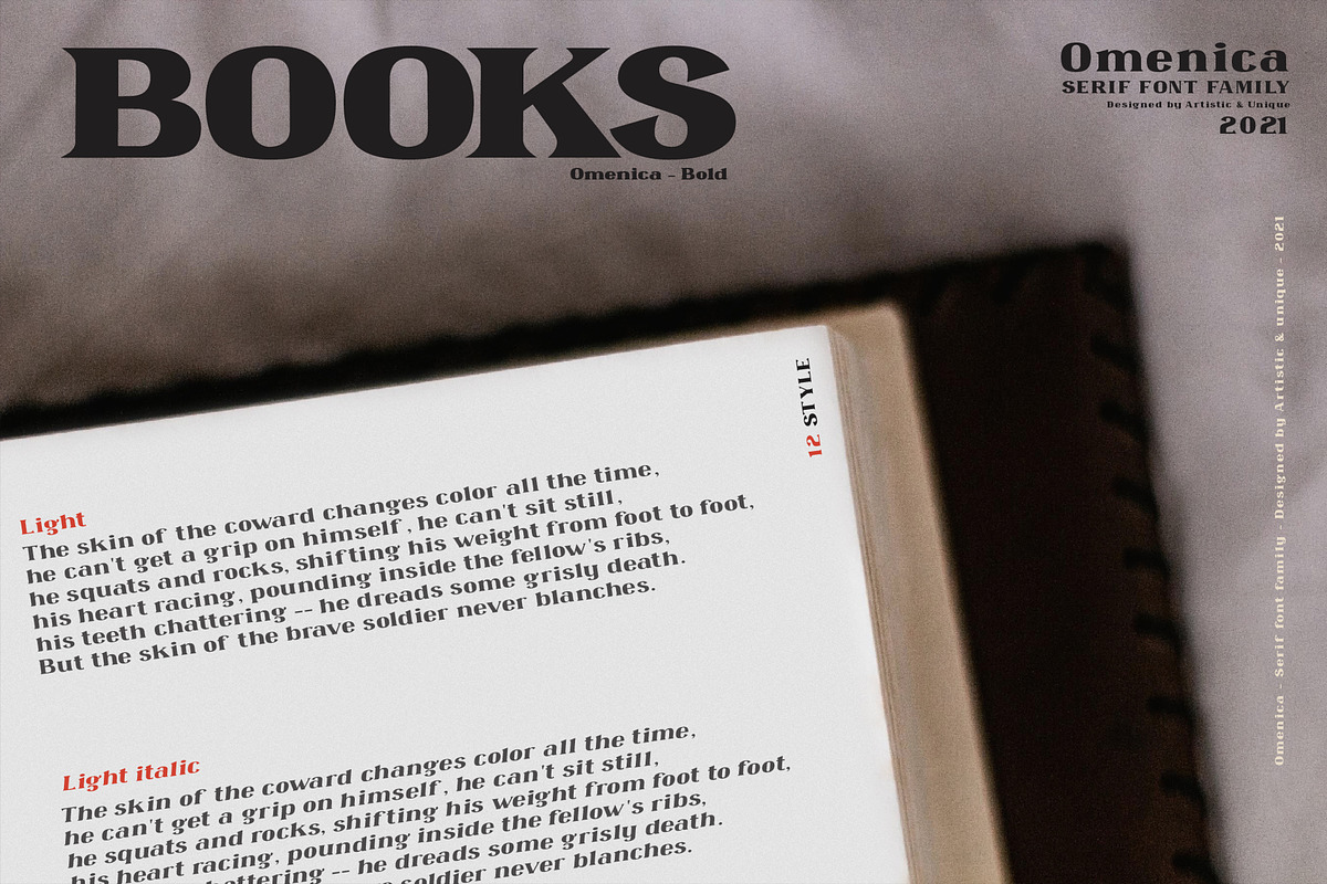 Omenica - Serif font Family, a Serif Font by Artistic & Unique (Photo 8 of 12)