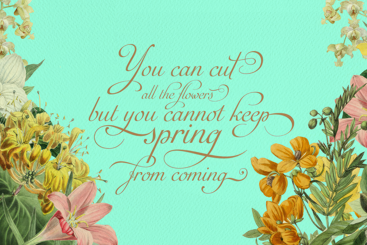 Auberge Script, a Script Font by Sudtipos (Photo 6 of 11)