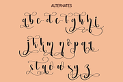 Pumpkin | Script font, a Script Font by Scratchones (Thumbnail 7 of 8)