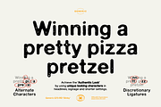 Generic G70-RD 'Slinky', a Sans Serif Font by More Etc. Studios (Thumbnail 4 of 8)