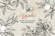Apple blossom & fruit. Vector set, a Decorative Illustration by ON_lineart_store (Thumbnail 1 of 12)