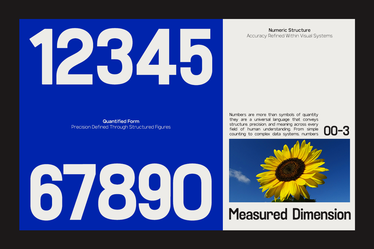 GC Kohlen – Condensed Display, a Sans Serif Font by Glyphonic (Photo 8 of 15)