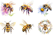 Honey Bee Watercolor Clipart, an Illustration by Designking (Thumbnail 4 of 5)