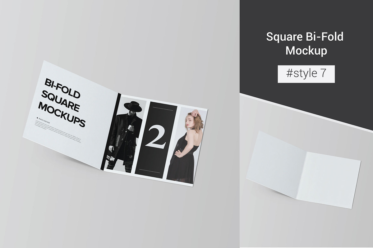 Bi-Fold Brochure Mockup 8 Style, a Print Template by Mockstore (Photo 14 of 18)