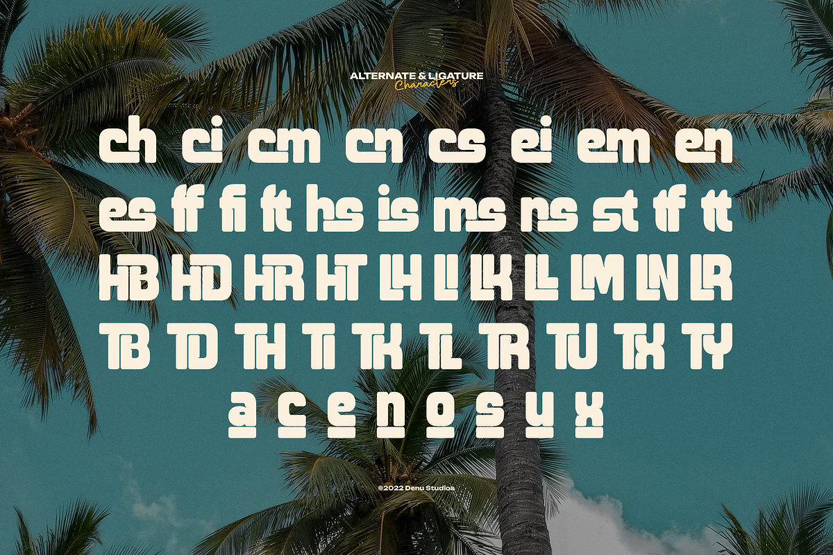 Fredoka Summer | Bold Display Sans, a Sans Serif Font by gracetype_studio (Photo 11 of 12)
