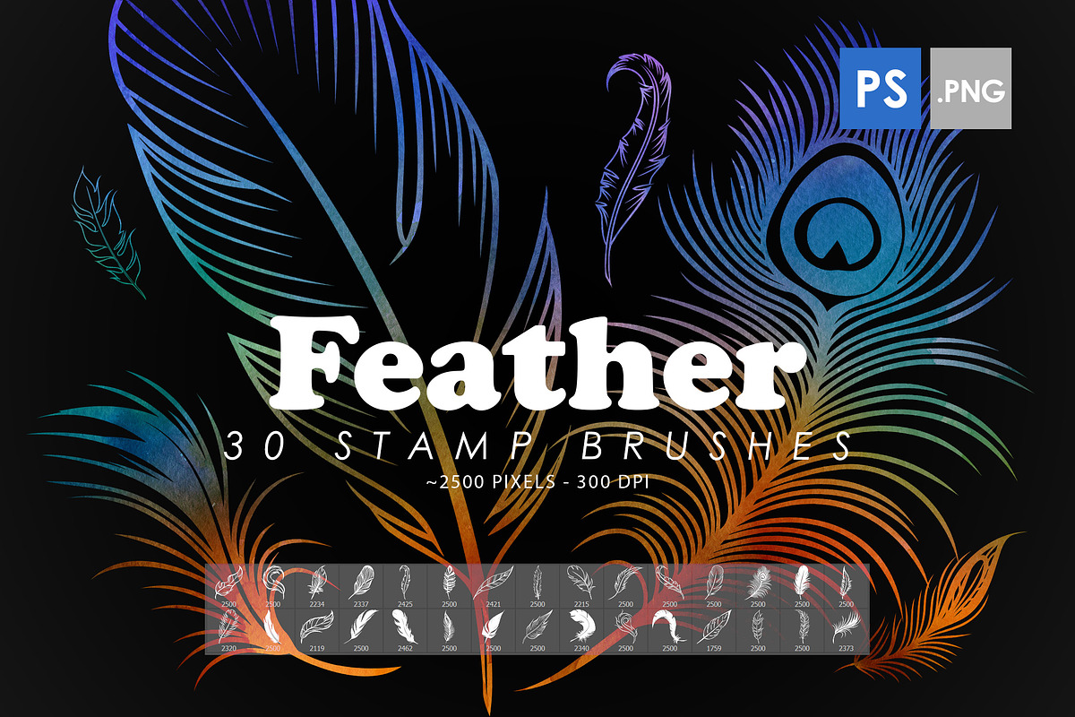 Feather Photoshop Stamp Brushes, a Brush Add-On by ArtistMef (Photo 1 of 4)