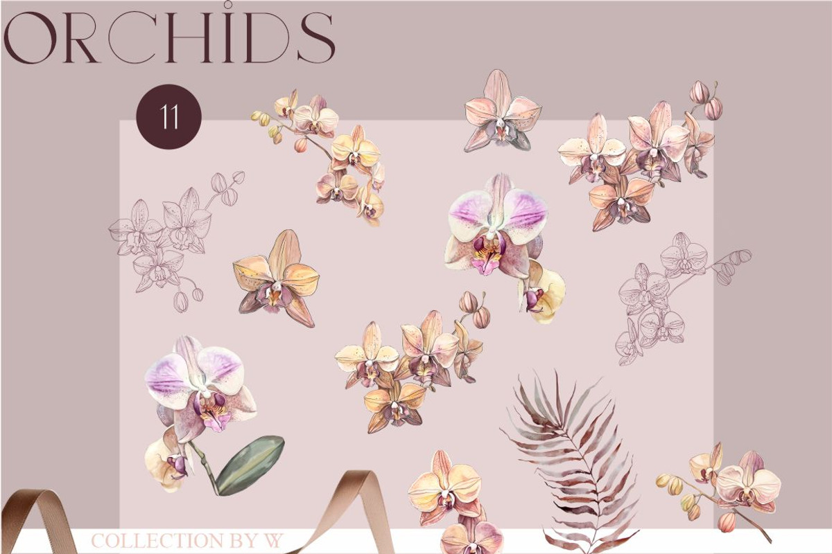 Bohemian Leaves & Orchids, a Decorative Illustration by Collection by VY (Photo 11 of 11)