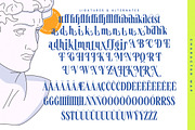 Vardent Modern Display Serif Font, a Serif Font by timelesstype.co (Thumbnail 19 of 20)