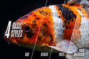 PainterBox | Paint Pro 5, an Action Add-On by ozonostudio (Thumbnail 2 of 6)