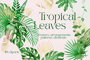 Watercolor Tropical Leaves Set