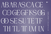 Nogite Modern - Branding Logo Font, a Serif Font by Nirmana Visual (Thumbnail 3 of 14)