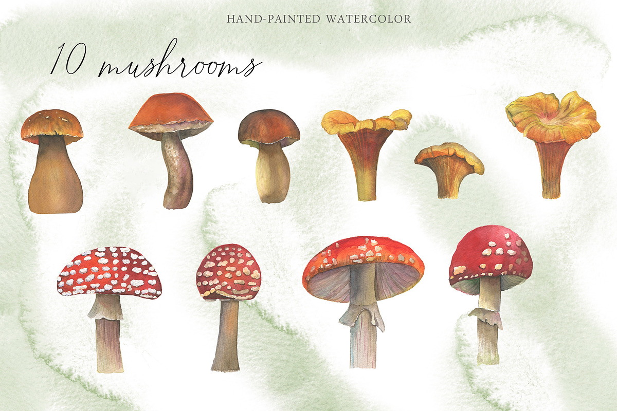 Watercolor: set of forest elements, a Graphic by WatercolorAnn (Photo 6 of 13)