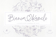 Bianca Kamelo Font, a Script Font by Ivan Rosenberg (Thumbnail 1 of 11)