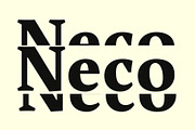 Neko Font, a Serif Font by RAHMAT (Thumbnail 2 of 5)