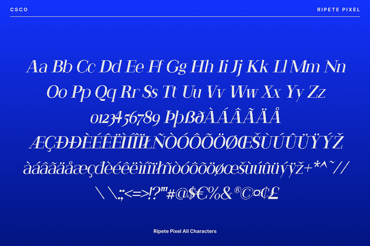 Ripete Pixel, a Serif Font by Craft Supply Co. (Photo 8 of 8)