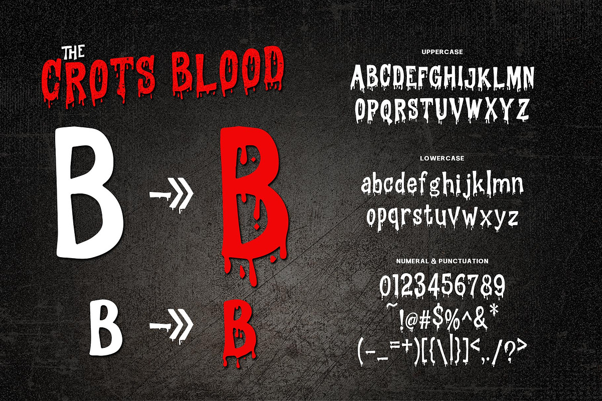 The Crots Typeface, a Script Font by alit design (Photo 7 of 15)