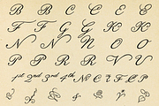 Botanical Scribe, a Script Font by Three Islands Press (Thumbnail 4 of 5)