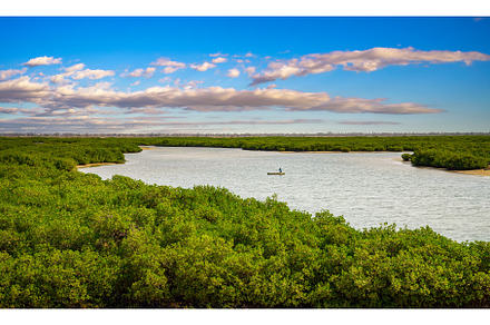 View over Lagune de Fadiouth Fadial, an Animal Photo by Nick Fox
