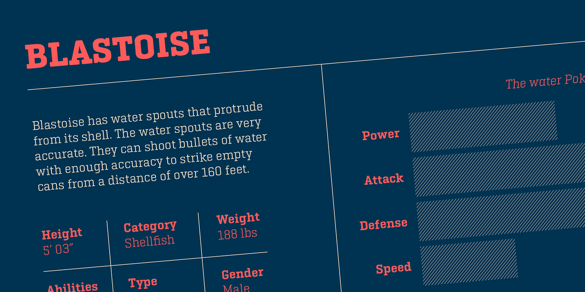 Geogrotesque Slab, a Slab Serif Font by Emtype Foundry (Photo 7 of 11)
