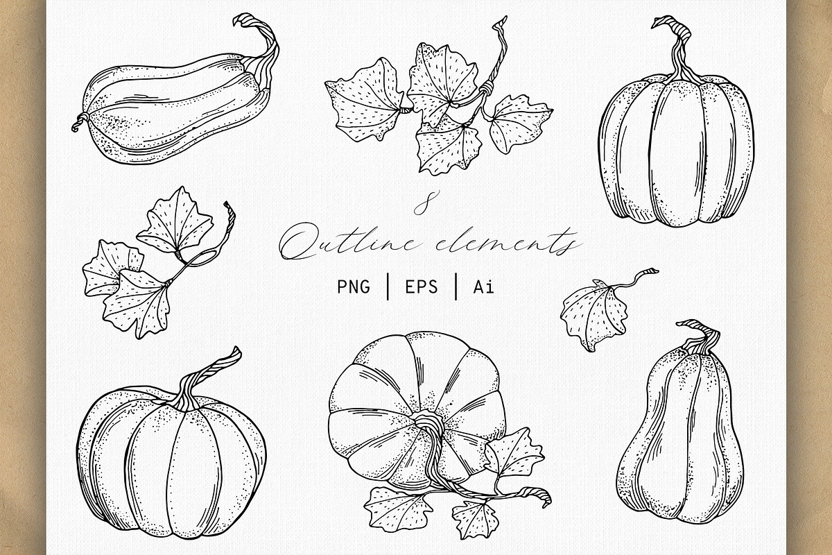 Autumn Pumpkins Hand Drawn Graphics, a Food Illustration by Olya Haifisch (Photo 3 of 9)