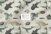 AQUATALES | 170+ elements, an Animal Illustration by Oksana Stepova (Thumbnail 9 of 19)