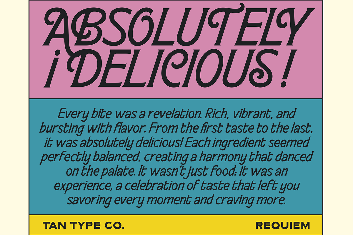 TAN - REQUIEM, a Serif Font by TanType (Photo 8 of 11)