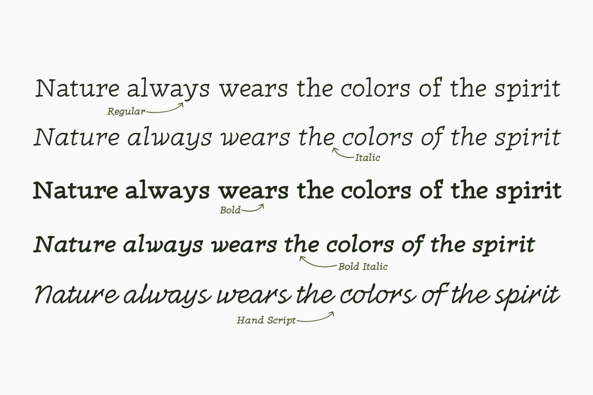 Radcliffe Hand - 7 fonts preview 4