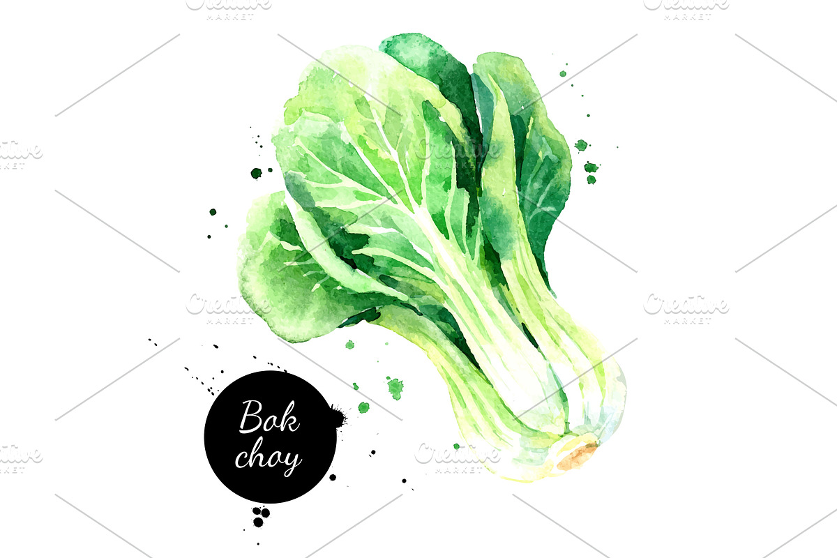 Watercolor Superfood Vector Set, a Food Illustration by Elena Pimonova (Photo 4 of 5)