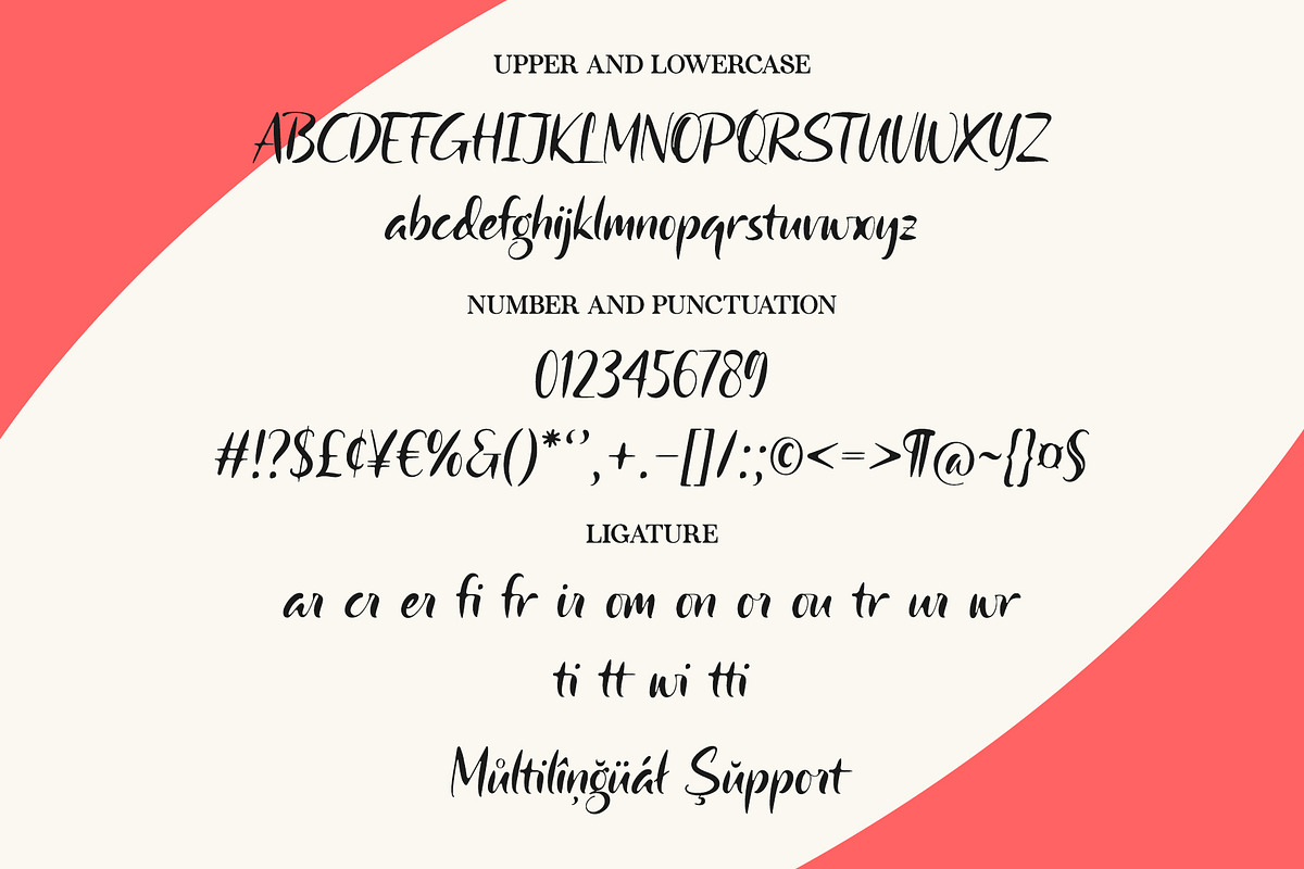 Camerota | Handwritten Font, a Handwritten Font by Lemonthe (Photo 6 of 7)