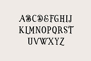 Brickworks Vintage Serif Font, a Serif Font by UICreative (Thumbnail 6 of 12)