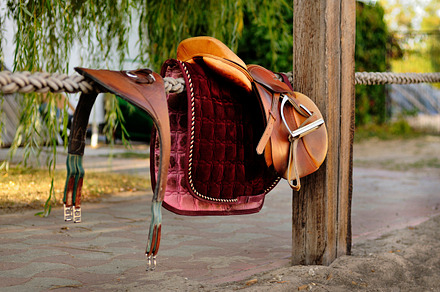 Brown riding equipment