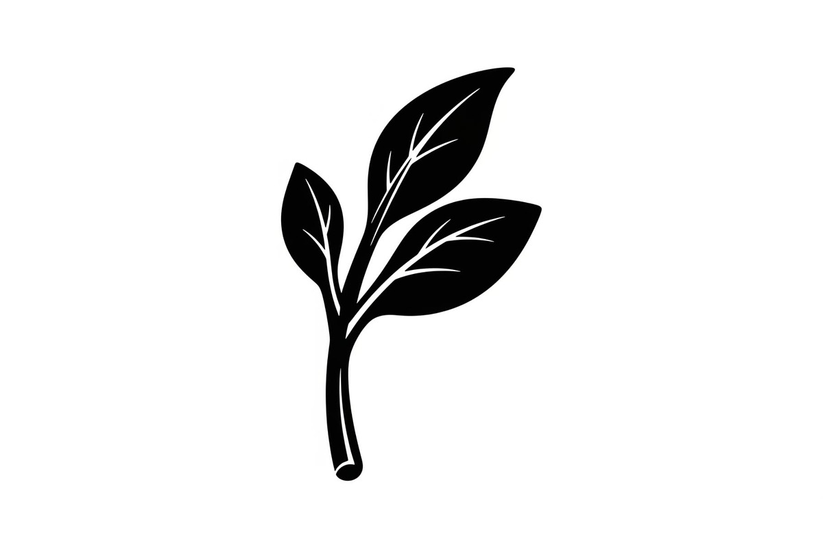 Hand Drawn Leaf Line Art Bundle, an Illustration by hafijul (Photo 11 of 51)