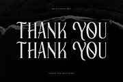 Elaphoras Display Serif Font, a Sans Serif Font by Storytype Studio (Thumbnail 18 of 18)