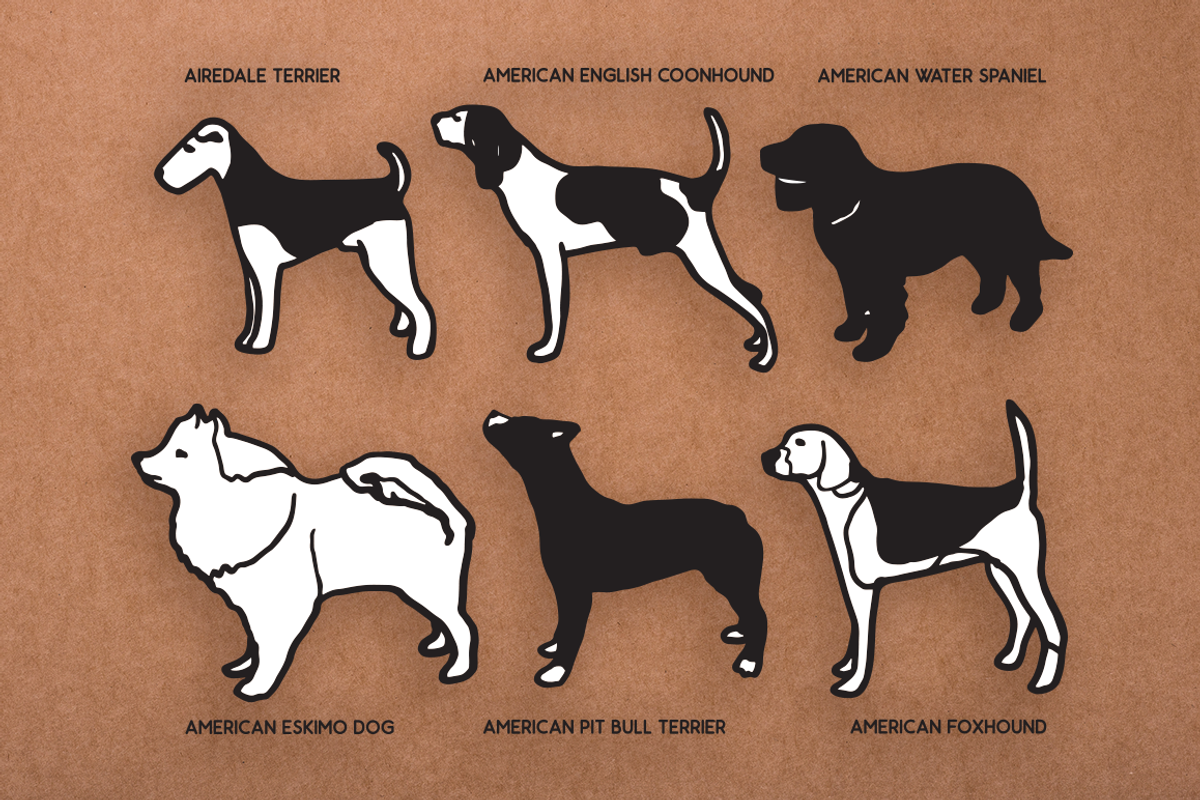 Vintage Dog Doodles Mega Bundle, an Illustration by duka (Photo 2 of 19)