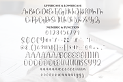 Signature | Script Font, a Handwritten Font by Scratchones (Thumbnail 7 of 9)
