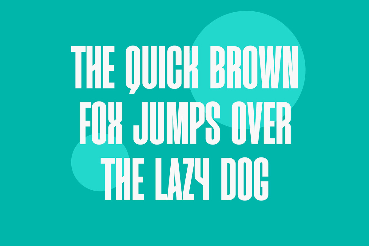 Quarner - Modern Condensed Sans, a Sans Serif Font by TypeLogue (Photo 2 of 5)