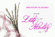 Marcellines a Calligraphy font, a Script Font by Javatype Studio (Thumbnail 8 of 10)