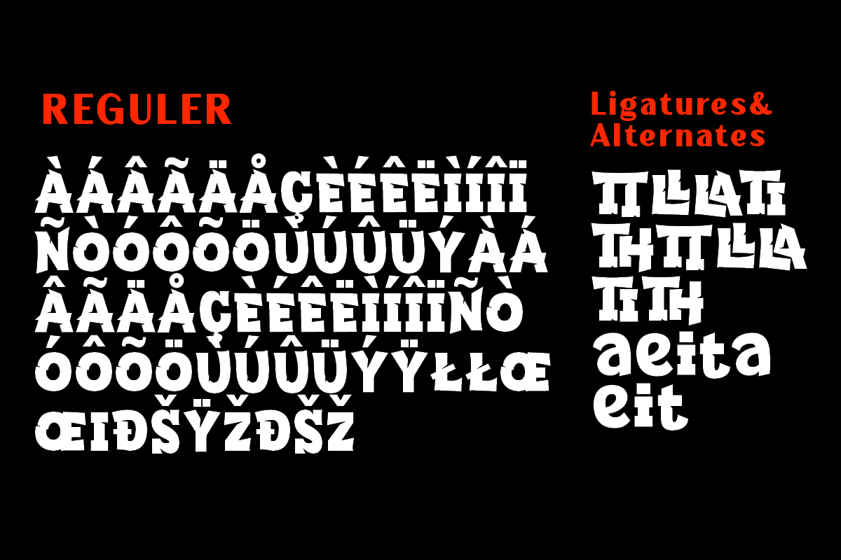 Cangkemu, a Sans Serif Font by Differentialtype (Photo 10 of 10)