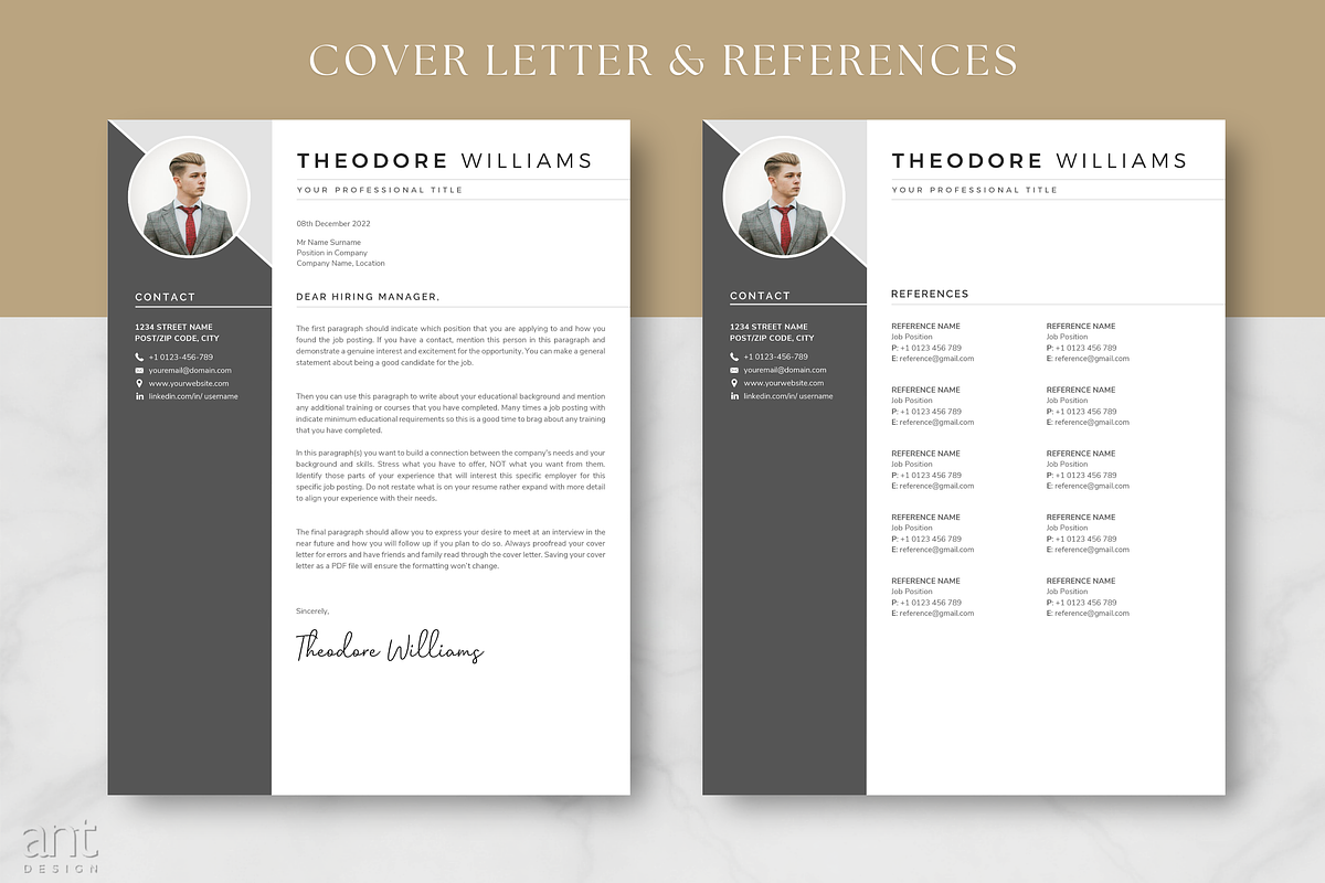 Modern Resume Template - Theodore preview 7