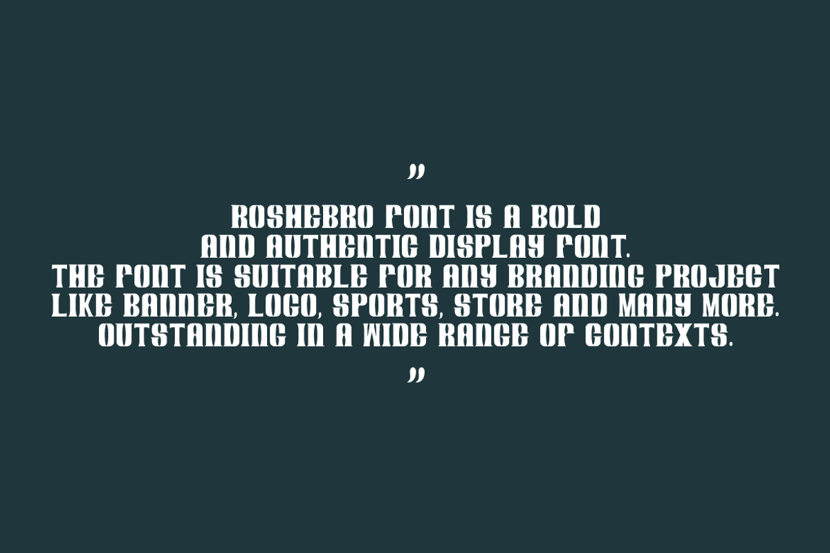 Roshebro, a Serif Font by QR Design Studio (Photo 5 of 7)